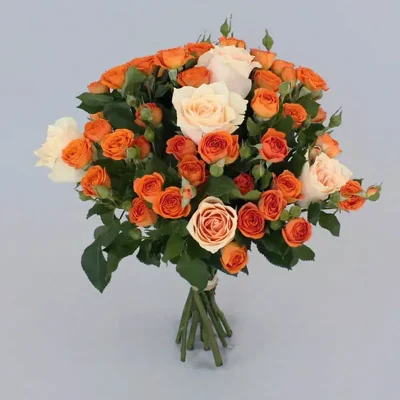 Beautiful Baby Roses