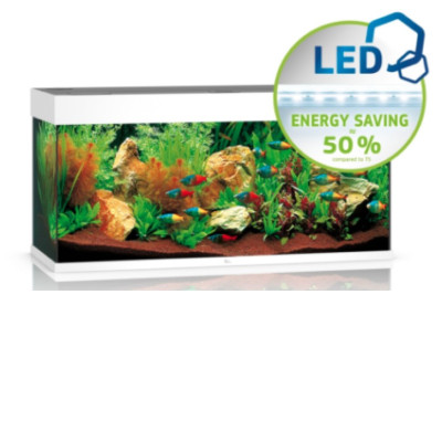 RIO 180 LED