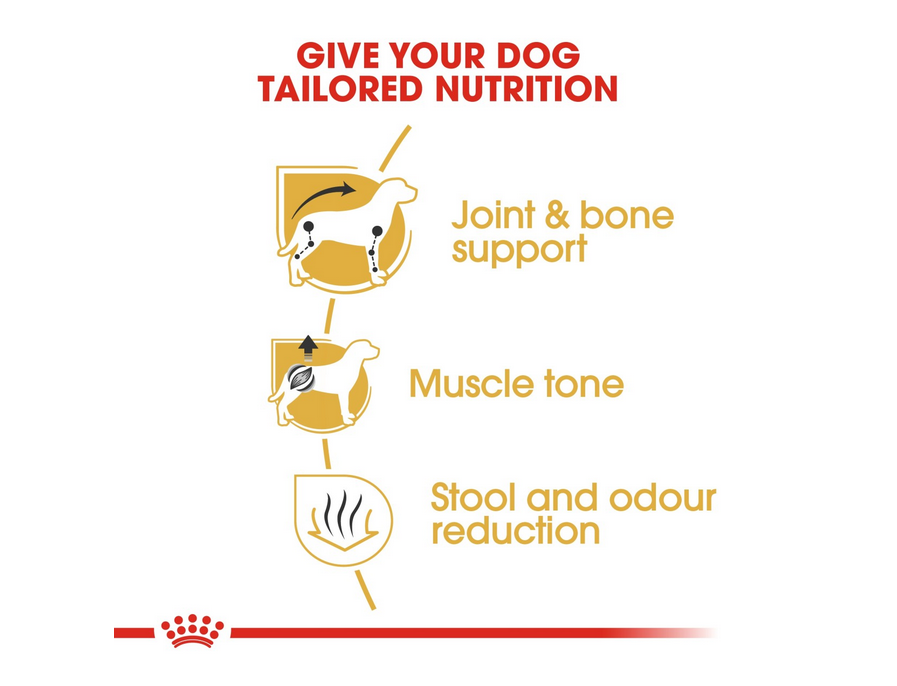 Royal Canin Breed Health Nutrition Dachshund Adult 1.5 kg - Image 3