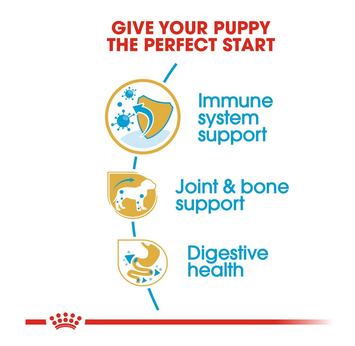 Royal Canin Breed Health Nutrition Dachshund Puppy 1.5 kg - Image 3