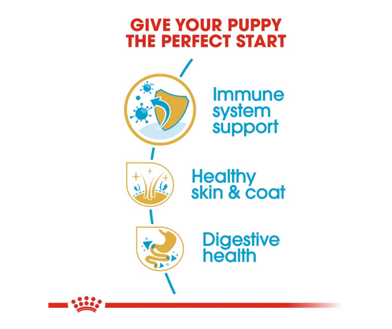 Breed Health Nutrition Cocker Puppy 3 kg - Image 3