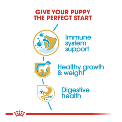 Screenshot 2025-07-30 012518