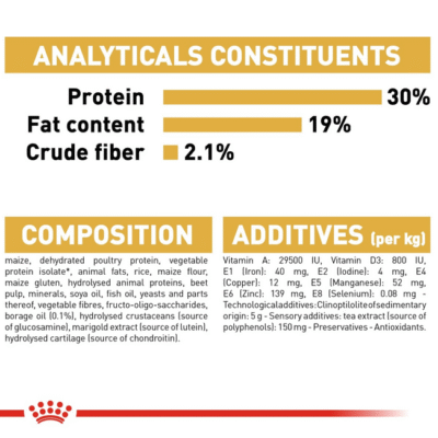 Screenshot 2025-07-30 015418