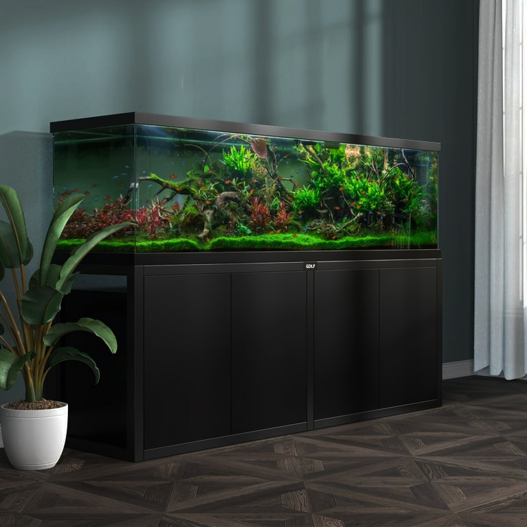 Designed Aquarium