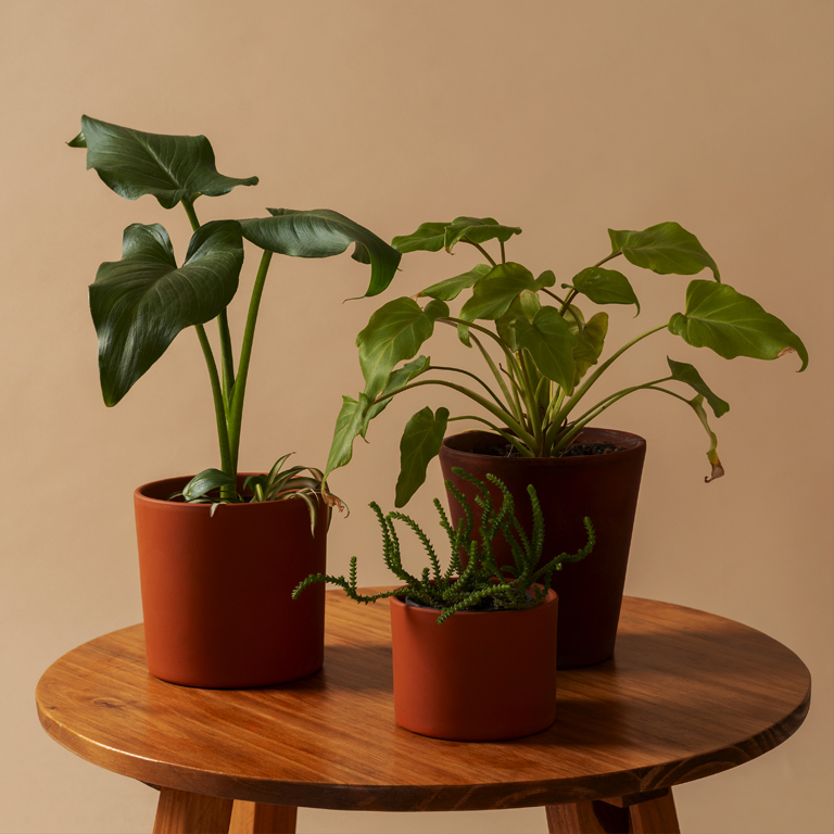 pots
