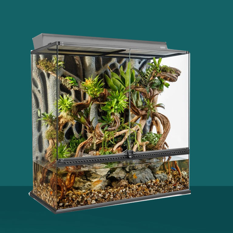 terrariompalla