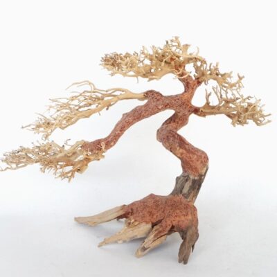 Bonsai Wood