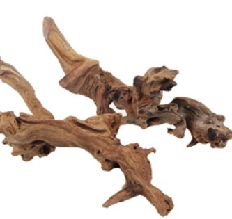 Drift Wood