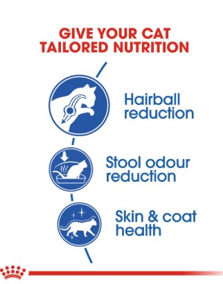 Royal Canin Feline Health Nutrition Indoor Long Hair 2 kg - Image 3