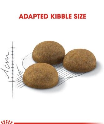 Royal Canin long hair 4