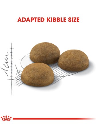 Royal Canin Feline Health Nutrition Indoor Long Hair 2 kg - Image 2