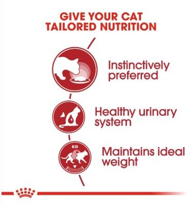Royal canin instictive gelly 2