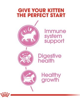 Royal canin kitten 10 2