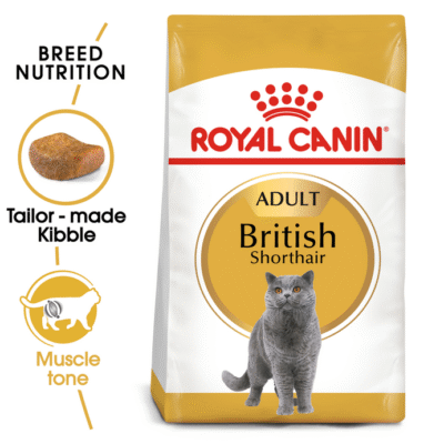 Royal Canin Feline Breed Nutrition British Shorthair Adult 4 kg