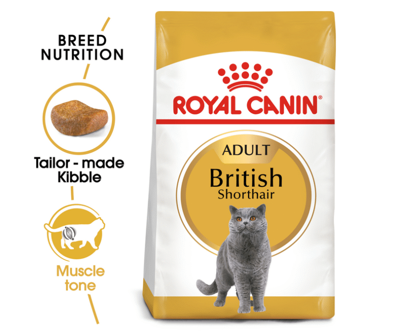 Royal Canin Feline Breed Nutrition British Shorthair Adult 10 kg