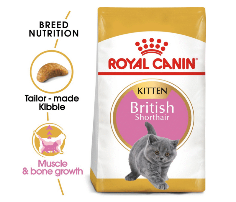 Royal Canin Feline Breed Nutrition British Shorthair Kitten 2 kg