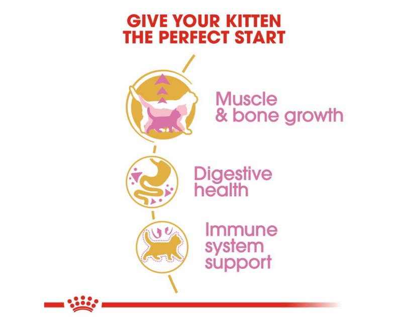 Royal Canin Feline Breed Nutrition British Shorthair Kitten 2 kg - Image 5