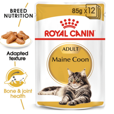 Royal Canin Feline Breed Nutrition Maine Coon (Wet Food - Pouches) 12 x 85 g