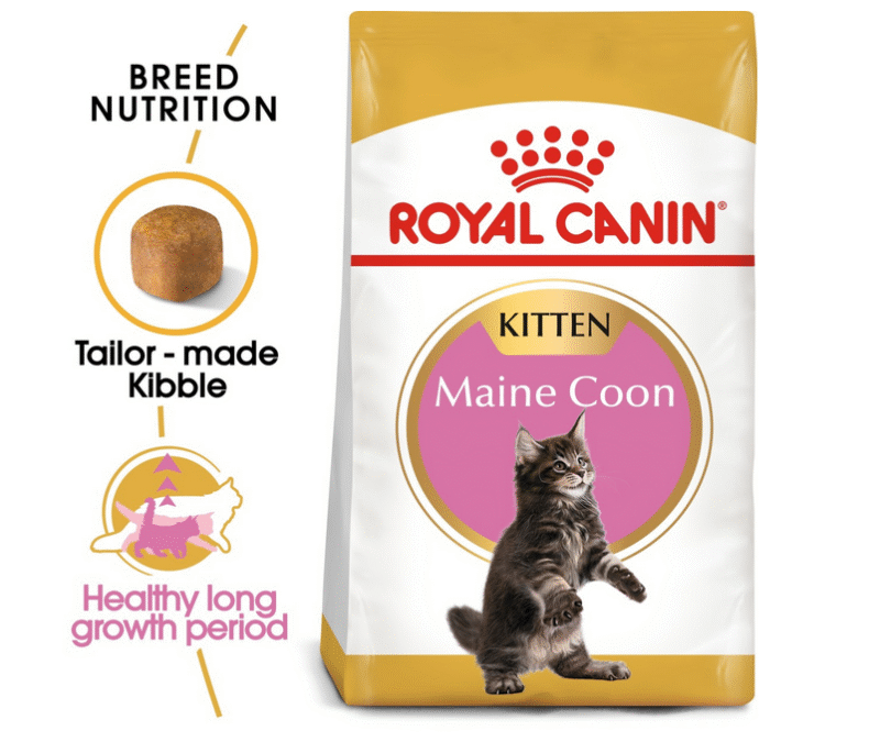 Royal Canin Feline Breed Nutrition Maine Coon Kitten 2 kg