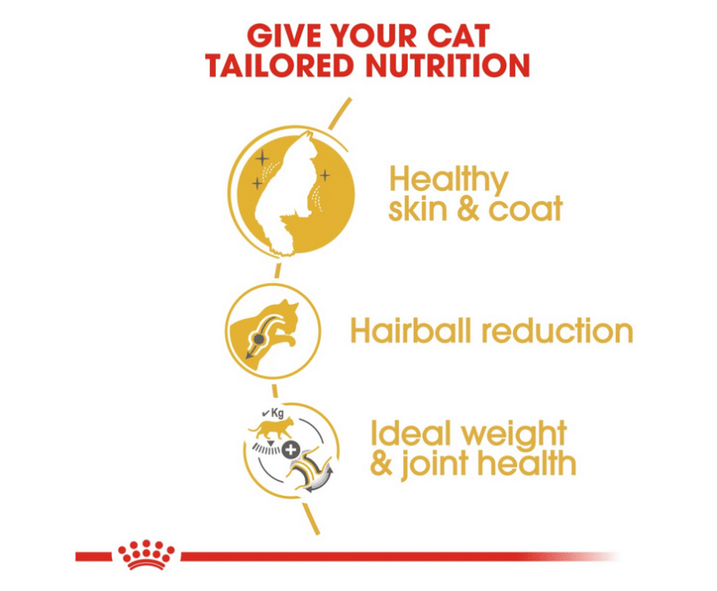 Royal Canin Feline Breed Nutrition Norwegian Forest Cat Adult 2 kg - Image 5