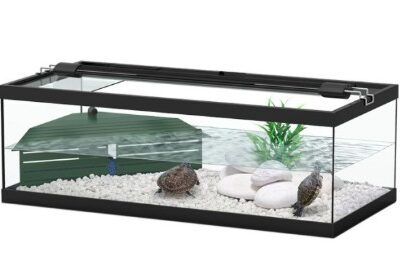Tortum Turtle Tank , 75x36x25 cm