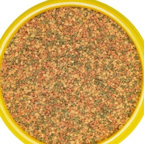 JBL Pronovo Bel Grano S